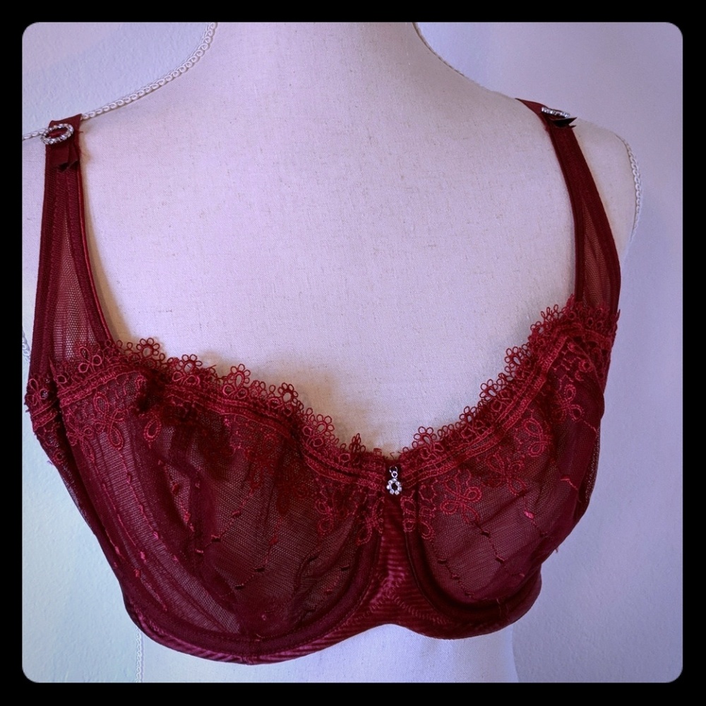 ⭐ 2 for $20! Whimsy by Lunaire Bra 38D